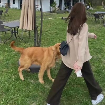 嚎叫